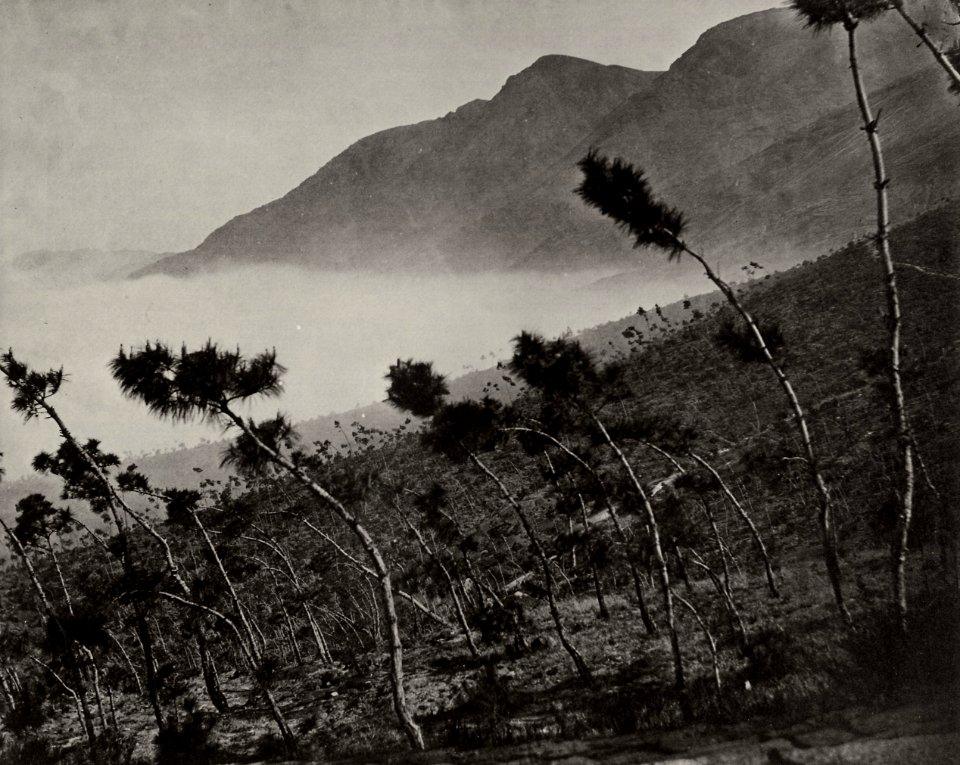 Chinesischer Photograph um 1860 - Auf dem Weg nach Ku-shan, westliches China (Zeno Fotografie)
