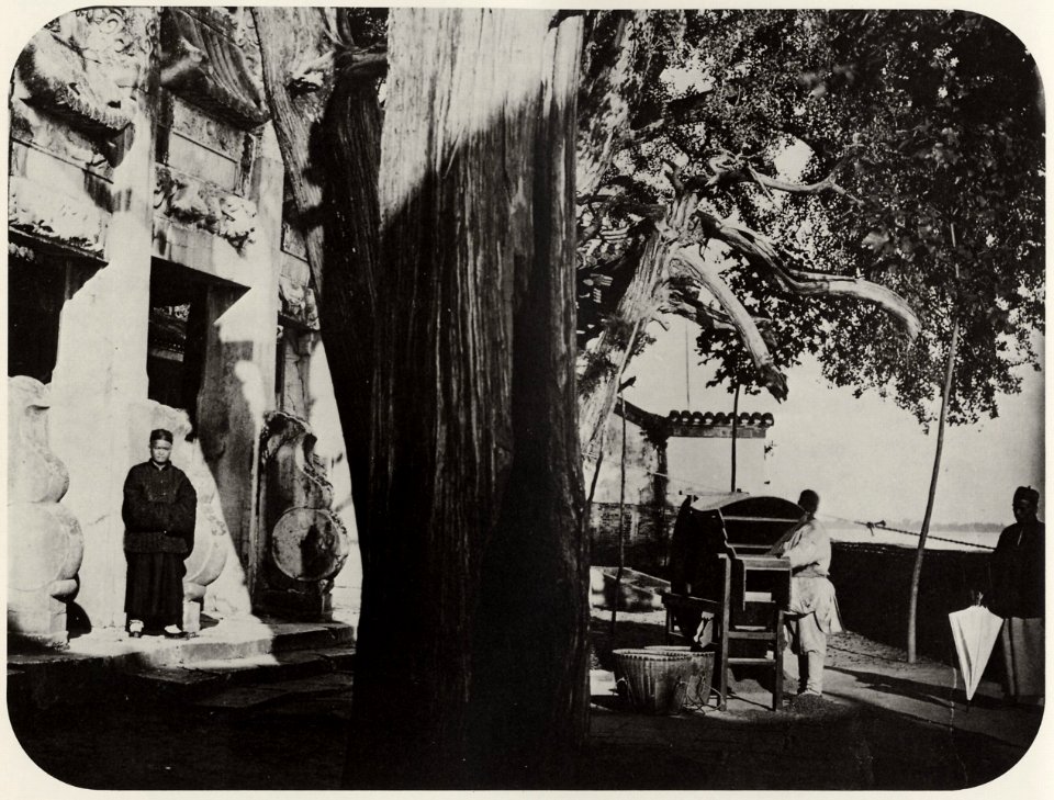 Chinesischer Photograph um 1875 - »Der Drachenbaum« (Zeno Fotografie)