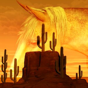 Cactus sand nature