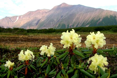 Volcano the foot summer