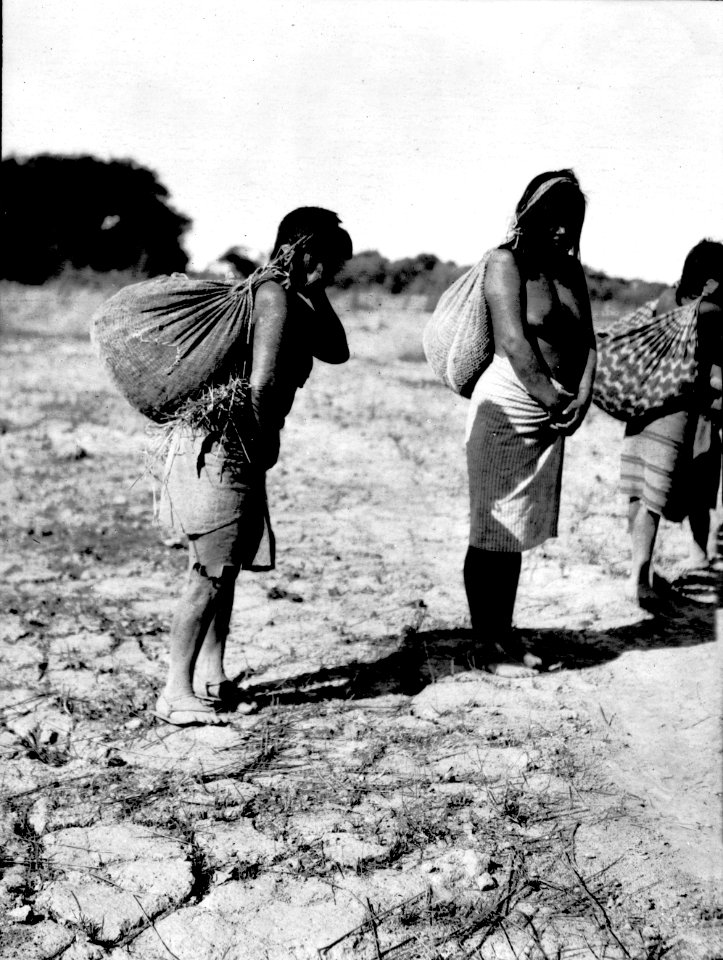 Choroti; kvinnor med bördor. Gran Chaco. Bolivia - SMVK - 004771