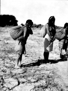 Choroti; kvinnor med bördor. Gran Chaco. Bolivia - SMVK - 004771