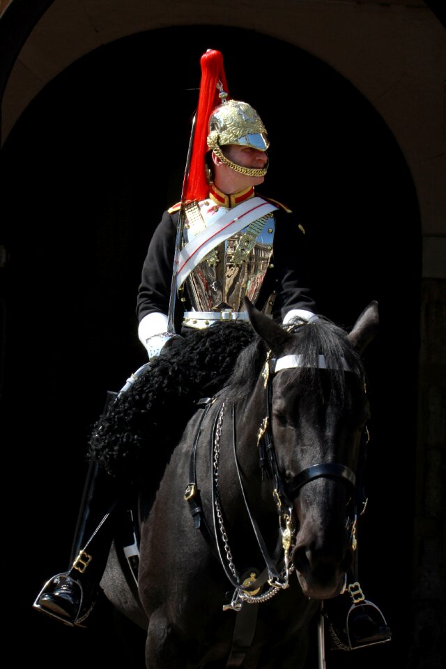 Knight guard rider