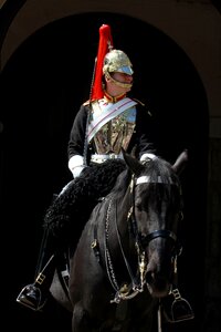Knight guard rider photo