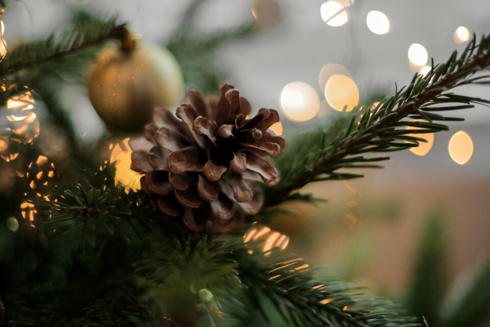 Ball decor ornaments