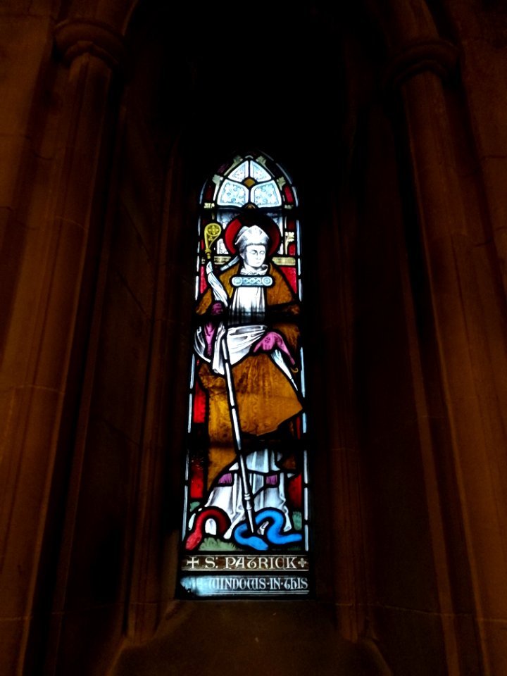 Christchurch cathedral Dublin - Baptistery stained glass (St Patrick)