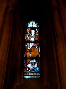 Christchurch cathedral Dublin - Baptistery stained glass (St Patrick)