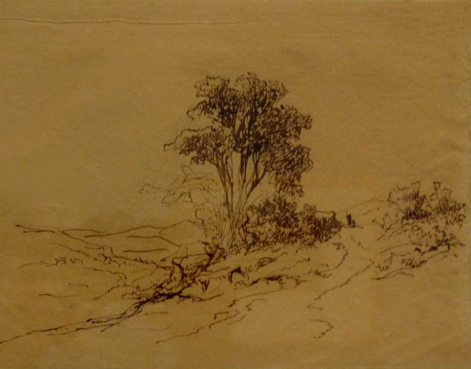 Christian Sigrist-Paysage avec arbres