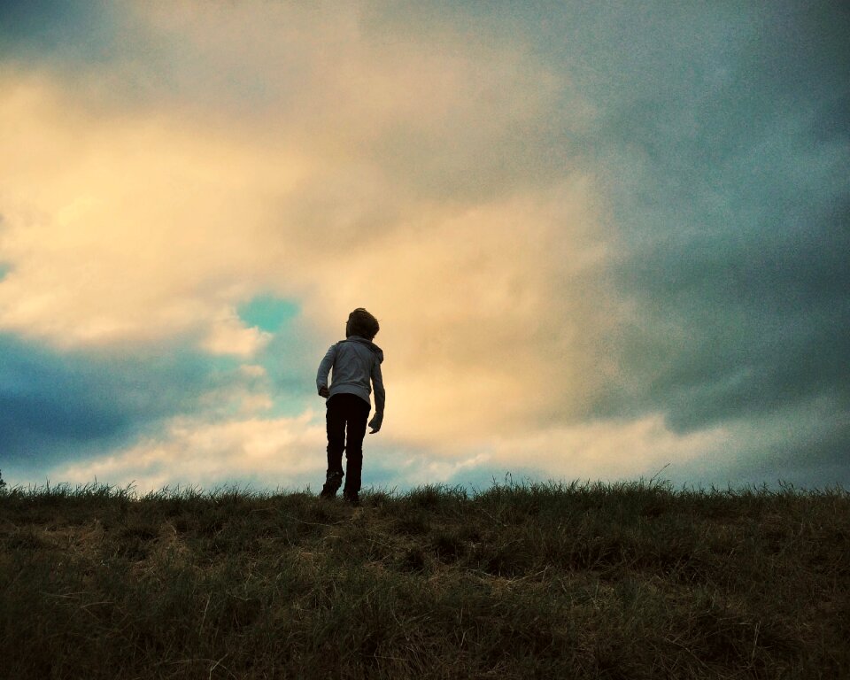 Field grass sky