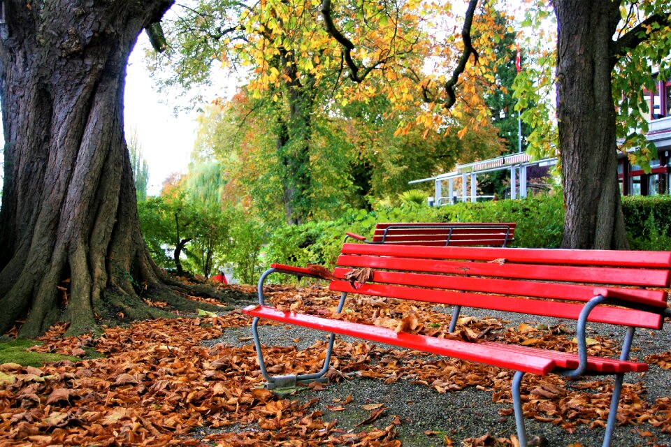 Fresh air seasons of the year park