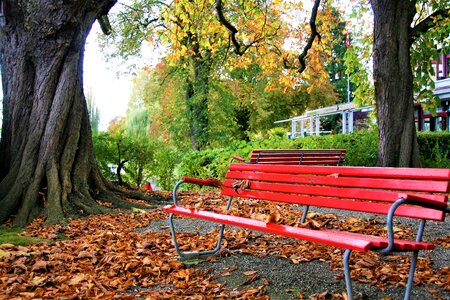 Fresh air seasons of the year park photo