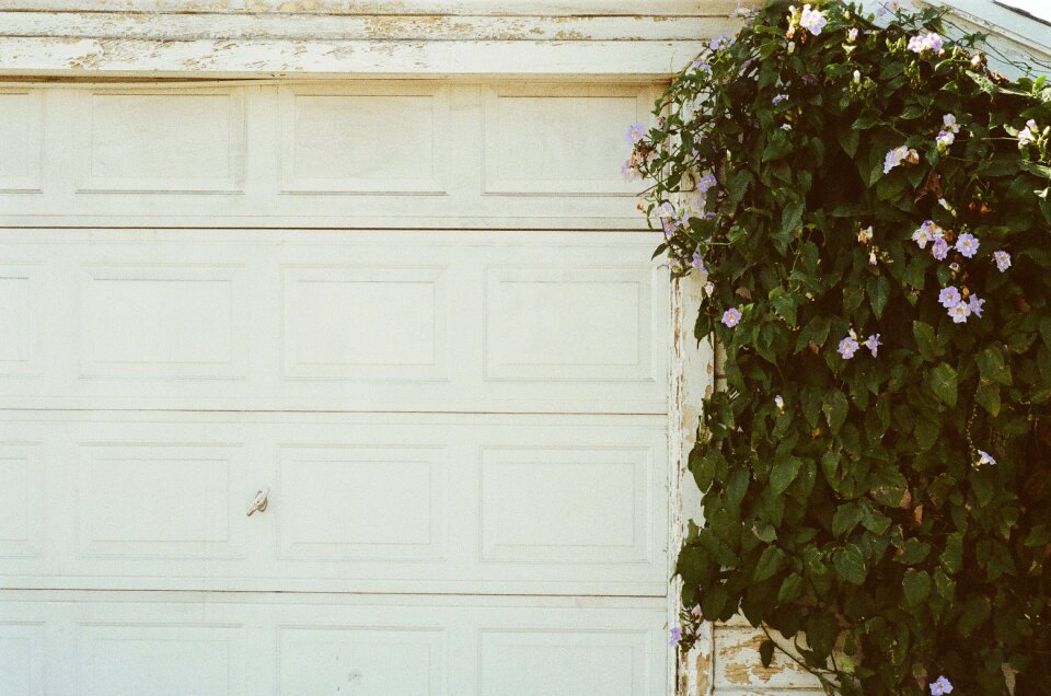 Garage door white plant