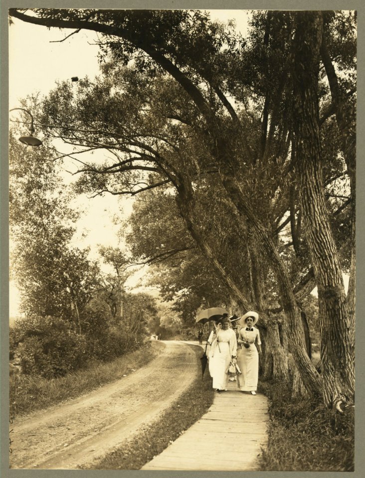 Church road along the beach LCCN2008679081