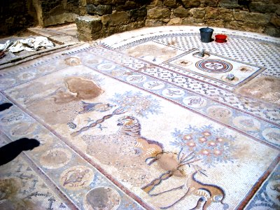 Church of the Lions