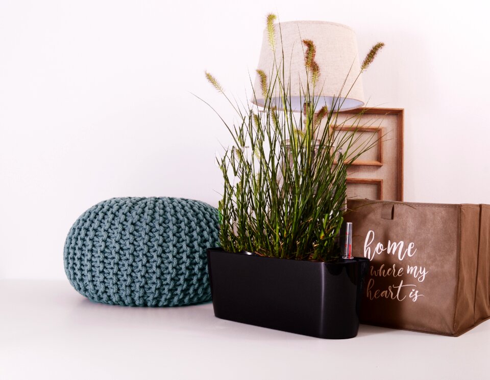 Grow garden nature