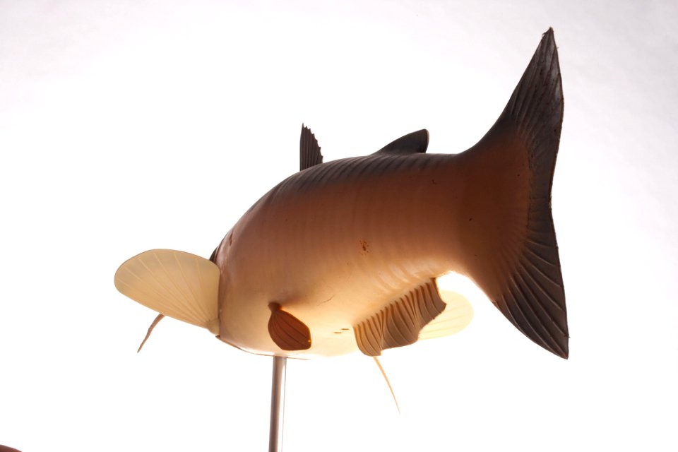 CIA robot fish Charlie 2