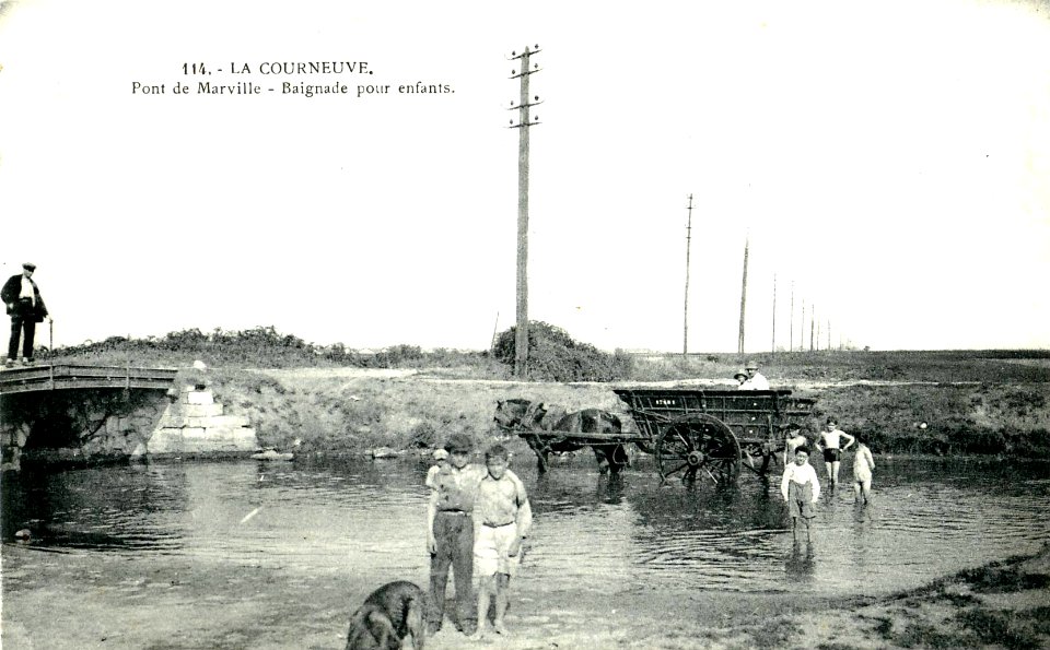 Cigogne LA COURNEUVE Le Croult