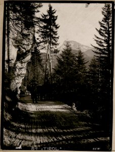 Cima-Spitze von der Lavaronestraße aus (BildID 15730521)