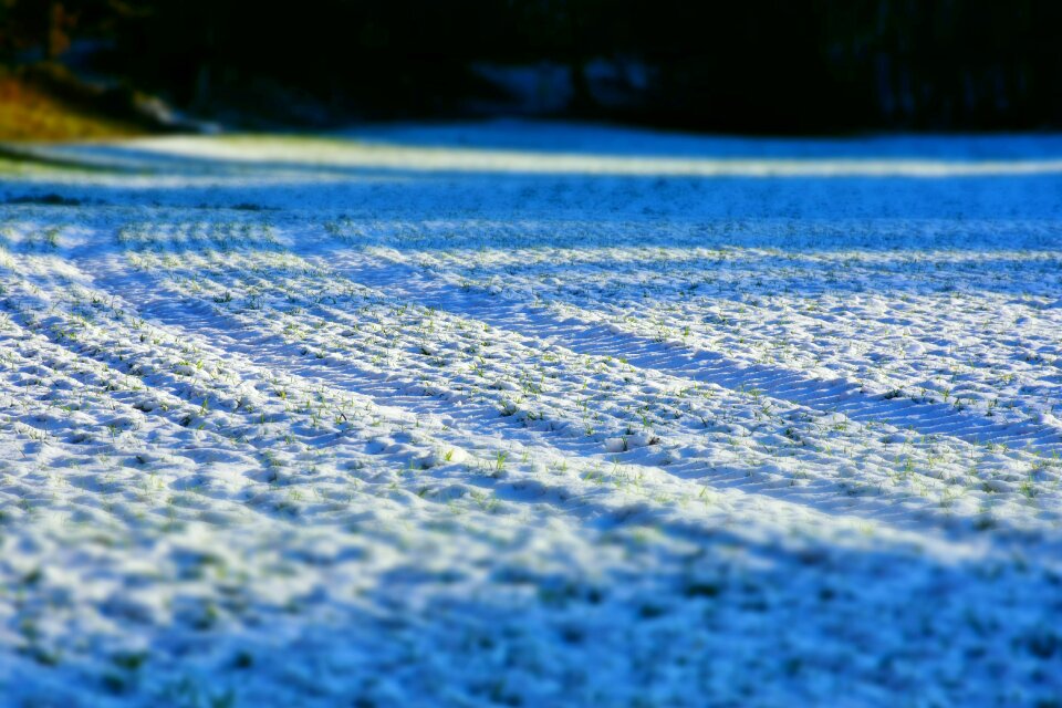 Field agriculture background