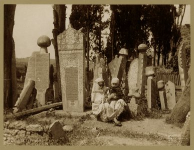 Cimetiere Turc à Scutari - Abdullah Frères. LCCN2003677079