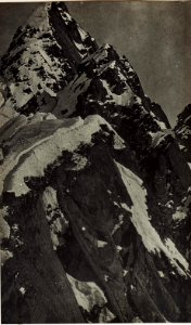 Cima Coltorondo, von der Coltorondoscharte aus. (BildID 15584655)