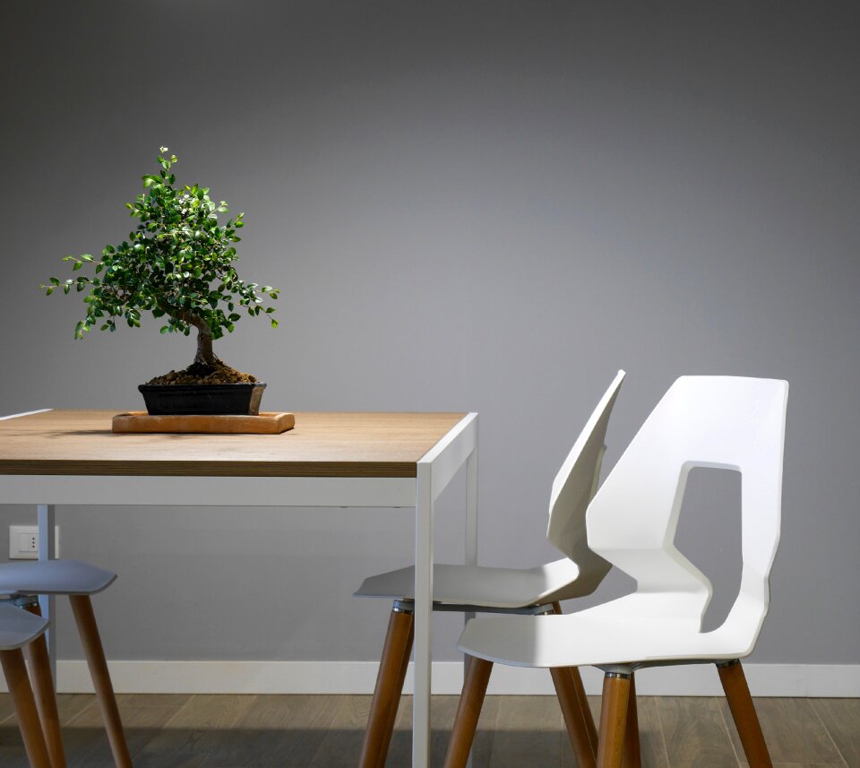 Chairs furniture green