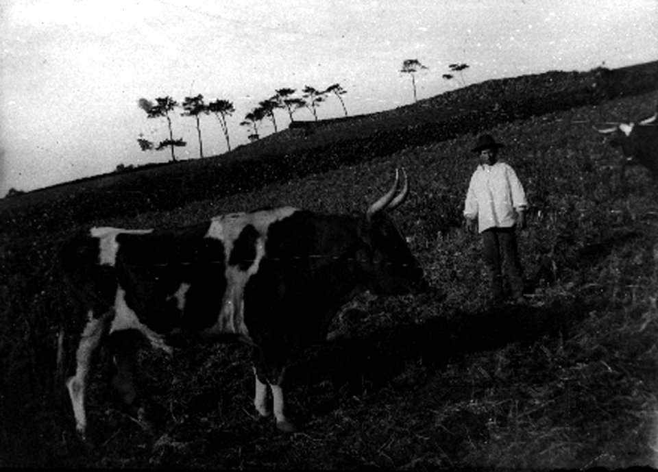 Cinco Picos, 6, ilha Terceira, Arquivo de Villa Maria, Angra do Heroísmo, ilha Terceira, Açores