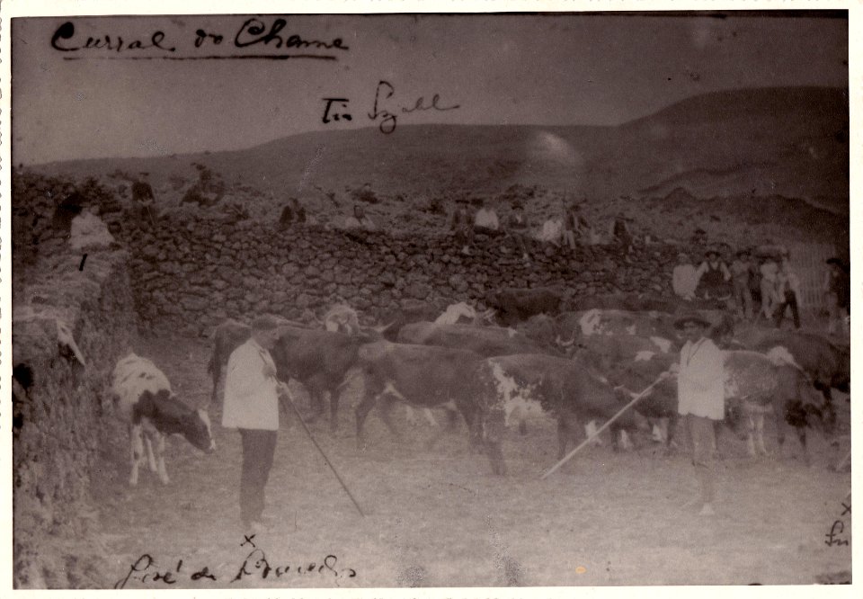 Cinco Picos, lavoura, 2, ilha Terceira, Arquivo de Villa Maria, Angra do Heroísmo, ilha Terceira, Açores