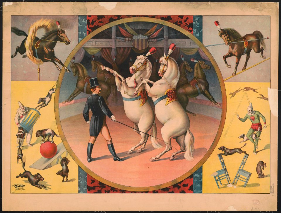 Circus horses and trainer LCCN2018647610