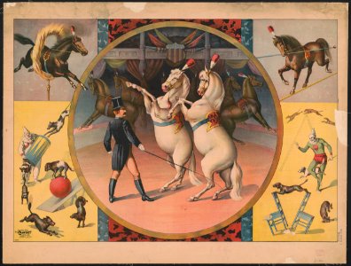 Circus horses and trainer LCCN2018647610