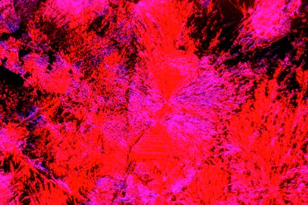 Cisplatin