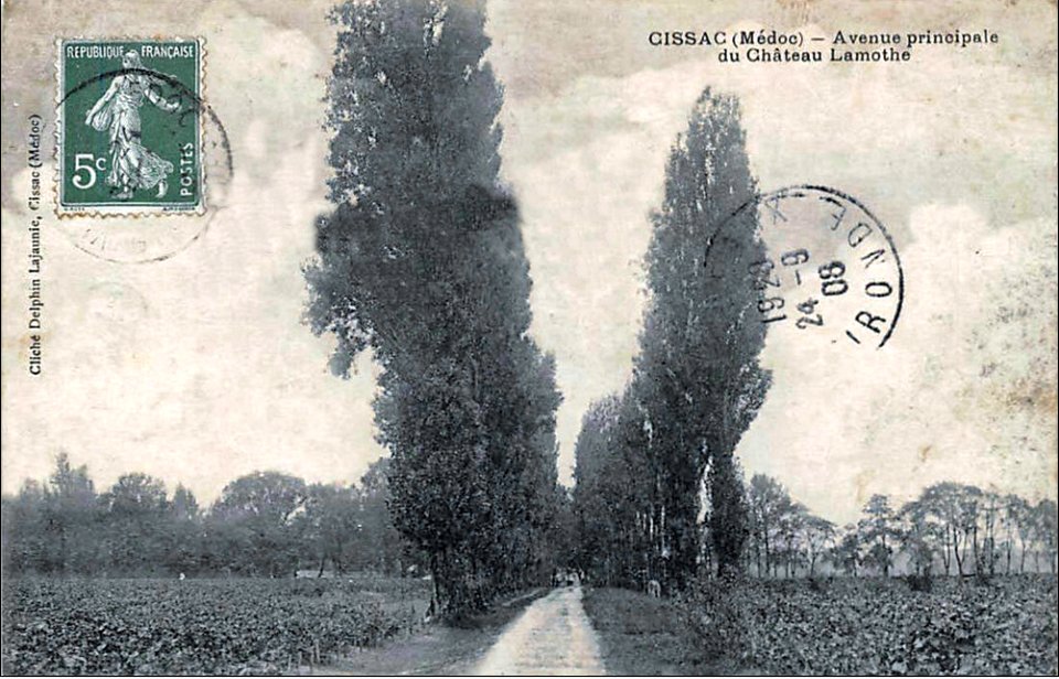 Cissac - château Lamothe 6