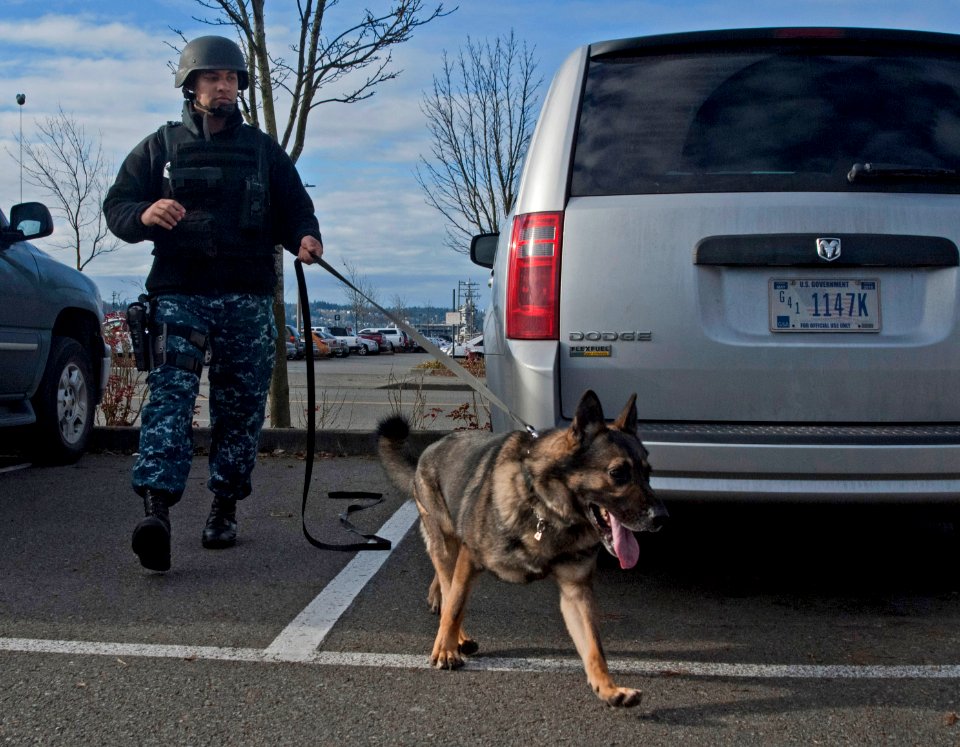 Citadel Shield 2013 130219-N-MM360-090