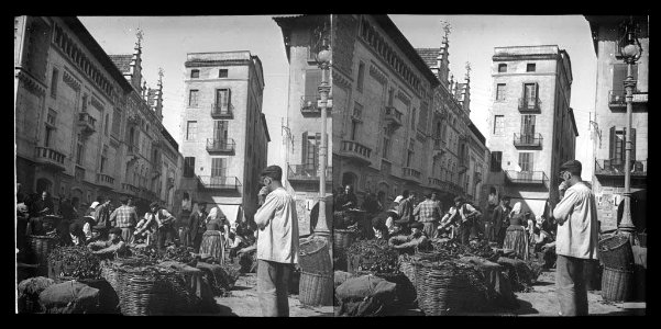 Cistells amb productes i gent al mercat de la plaça de Vic