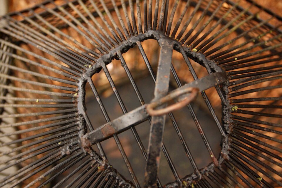 Decoration wire cage