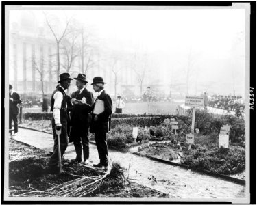 City experiment in gardening, New York City LCCN93501877