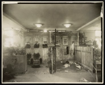 City Gardens Club of New York City Exhibition at the International Flower Show, March, 1921, Grand Central Palace, New York LCCN2012645989