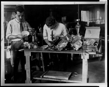 City chemists analyze Wall Street bomb parts LCCN2008675780