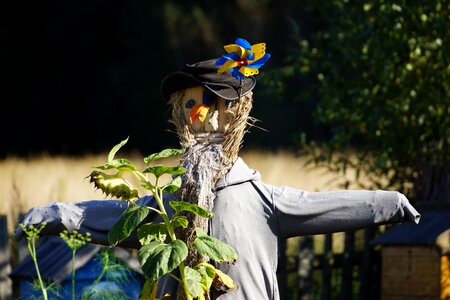 At the court of summer scarecrow