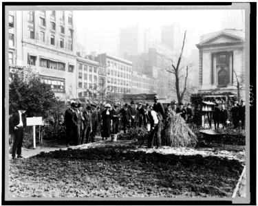 City experiment in gardening, New York City LCCN93501876