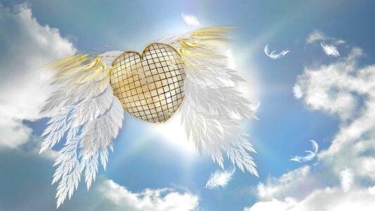 Angel fantasy heart