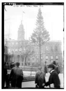 City Hall Xmas Tree 1913 LCCN2014695160