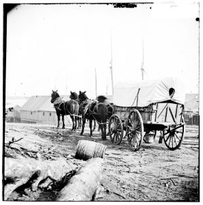 City Point, Virginia (vicinity). Four-mule army team and wagon LOC cwpb.01990