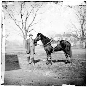 City Point, Virginia. Gen. U.S. Grant's horse. JEFF DAVIS LOC cwpb.01999