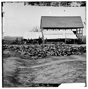 City Point, Virginia. Slaughter house LOC cwpb.01882