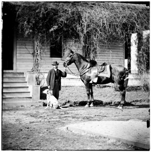 City Point, Virginia. Gen. Rufus Ingalls' horse and dog LOC cwpb.02003