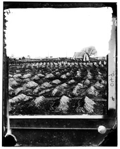 City Point, Virginia. Soldier's graves near General Hospital LOC cwpb.01872