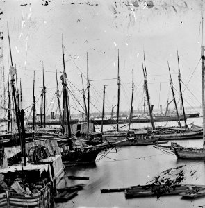 City Point, Virginia. View of transports