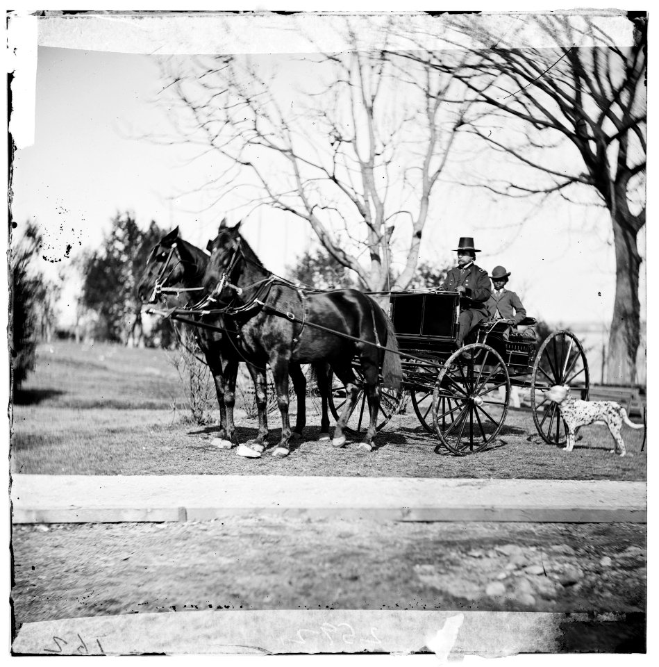 City Point, Virginia.) Gen. Rufus Ingalls in buggy with colored boy LOC cwpb.02001