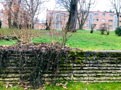 Cité-jardin Butte-Rouge - éléments paysagers - muret en pierres